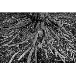 Reaching Out