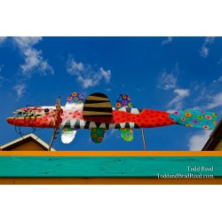 Flying Fish