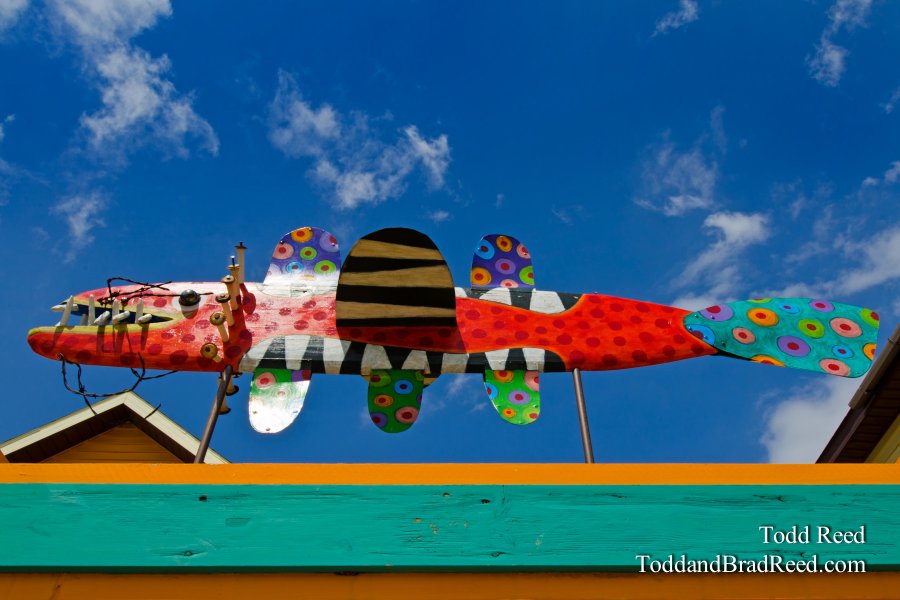 Flying Fish
