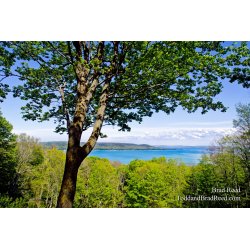 Stocking Drive in the Spring