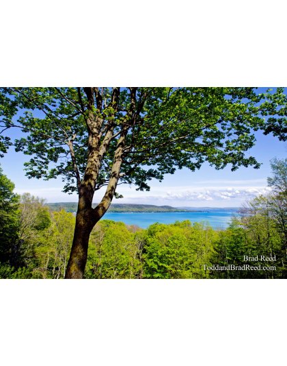 Stocking Drive in the Spring