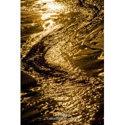 Golden Ripples