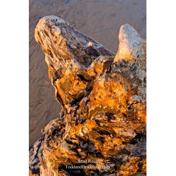 Stumped