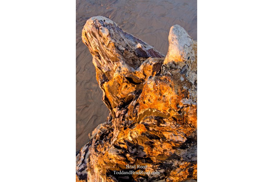 Stumped