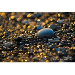 Lake Michigan Treasure