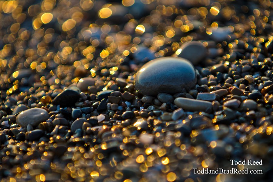 Lake Michigan Treasure