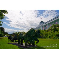 Ivy at the Grand