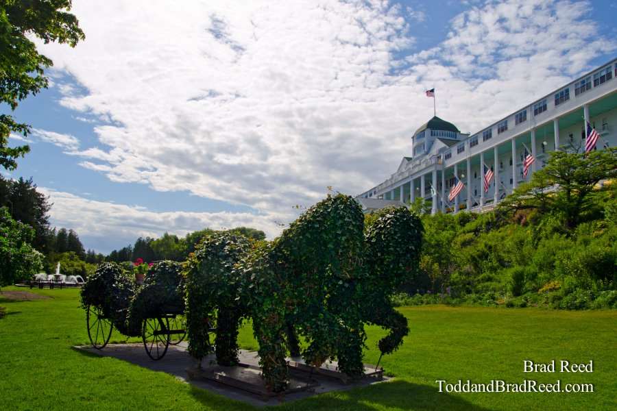 Ivy at the Grand