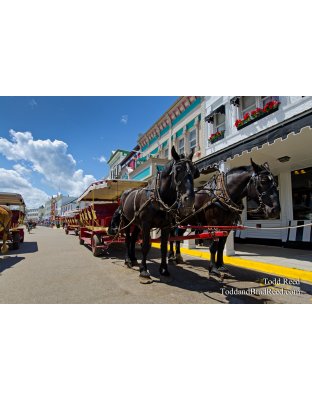 Island Transportation
