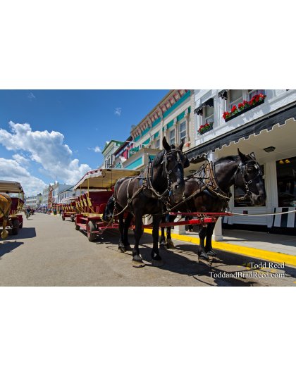 Island Transportation
