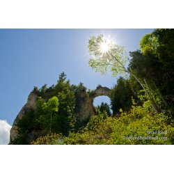 Eye of the Island