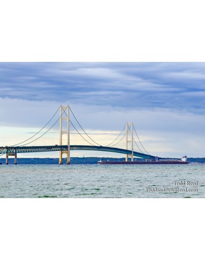 Between the Uprights