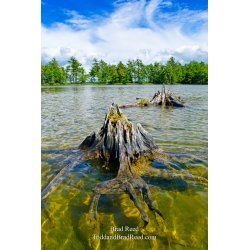 Island Walker - Vertical