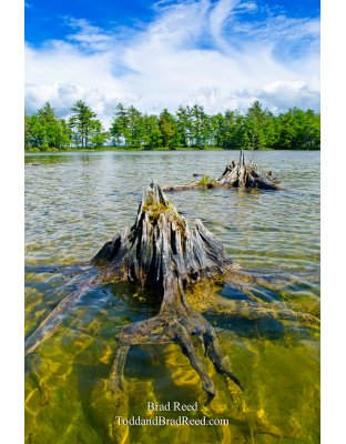Island Walker - Vertical