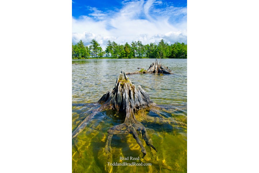 Island Walker - Vertical