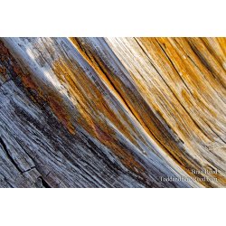 Gradations