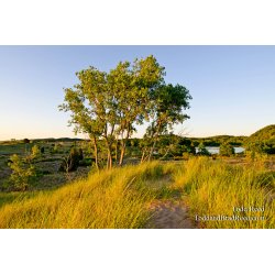 Saugatuck Natural Area