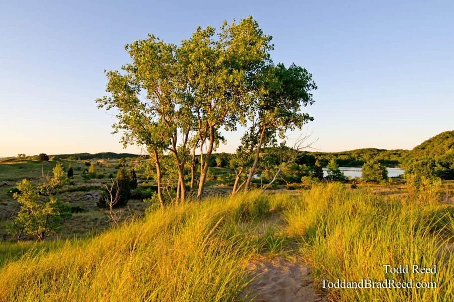 Saugatuck Natural Area