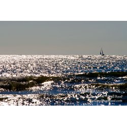 Riding the Waves