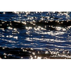 Floating Stars