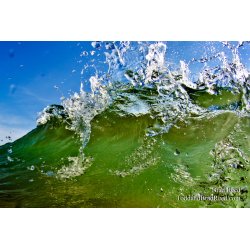 Fresh Water