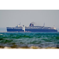 Ludington Icons