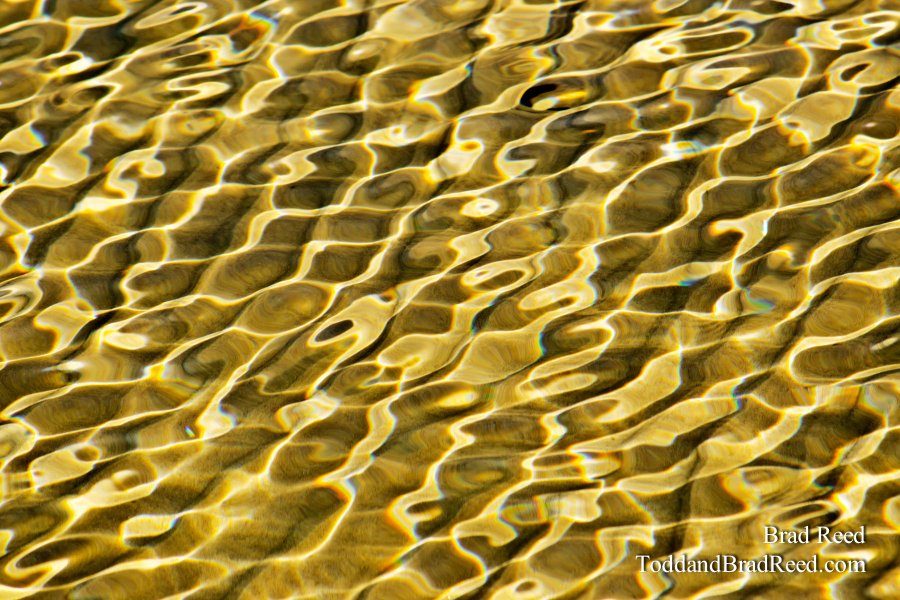 Liquid Gold
