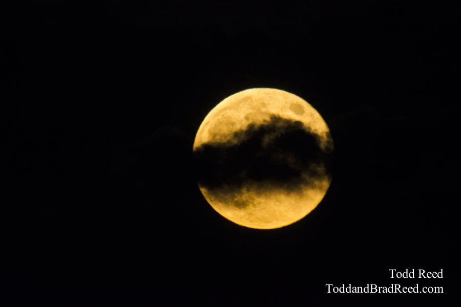 Werewolf Moon