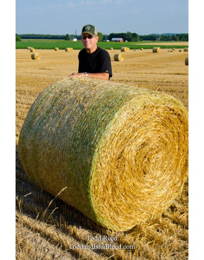 At Home on the Farm - vertical