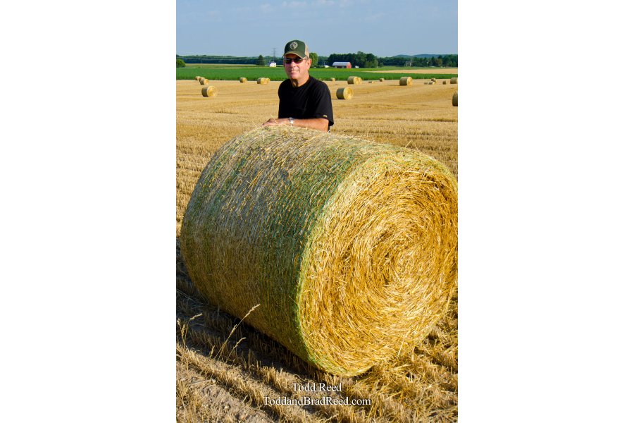At Home on the Farm - vertical
