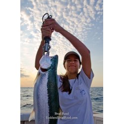 Steelhead