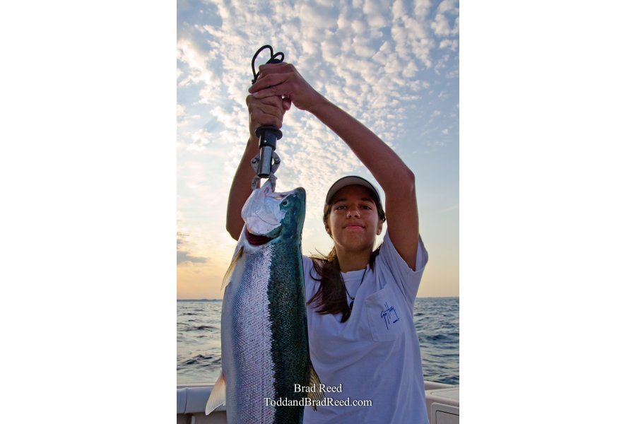 Steelhead