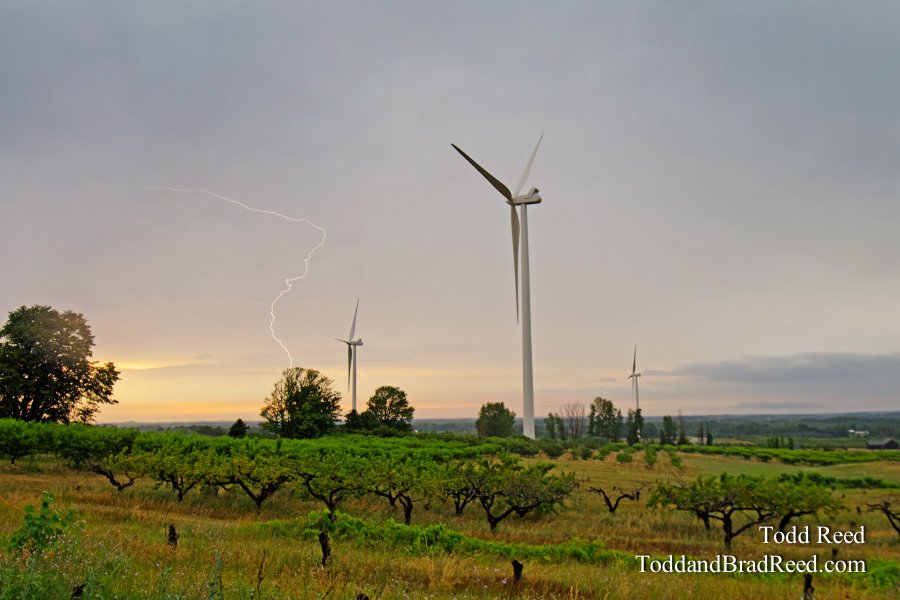 Electric Country