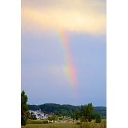 Natures Encore