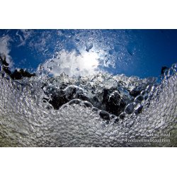 Water World