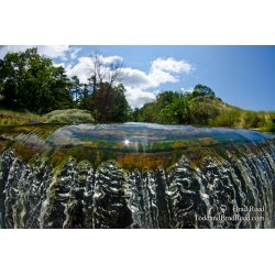 The Dam at Bass Lake Outlet