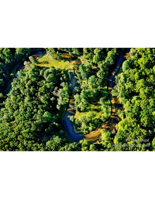 Snaking Along the Pere Marquette River