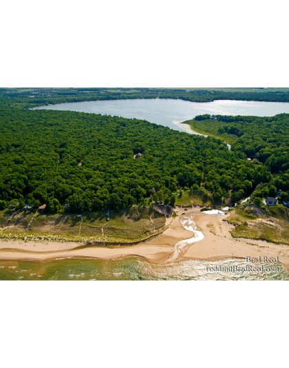 A Fresh View of Bass Lake Outlet