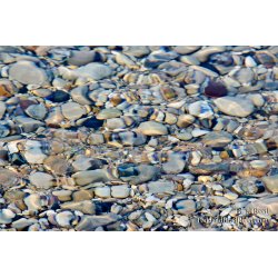 The Rocks of Sleeping Bear