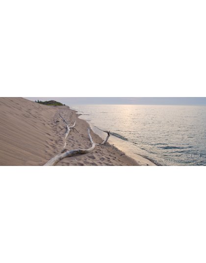 Soft Light - Panoramic