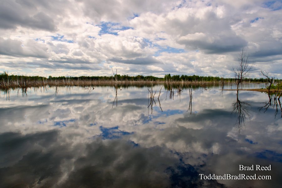 Shale Quarry Reflections
