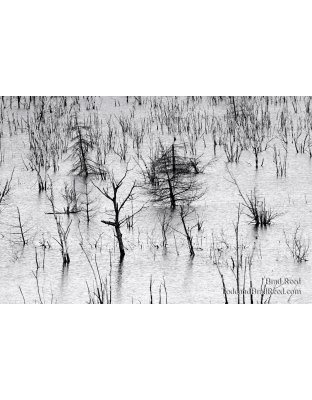 Chromatic Aberration