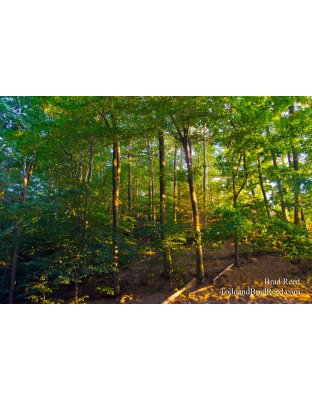 Hoffmaster State Park