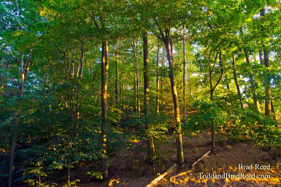 Hoffmaster State Park