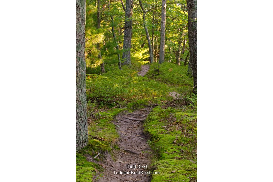 Wilderness Trek