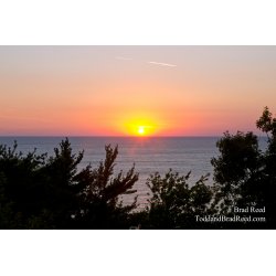 Goodbye to Summer