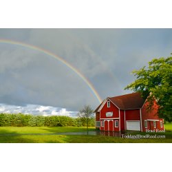 Trillium Creek Rainbows