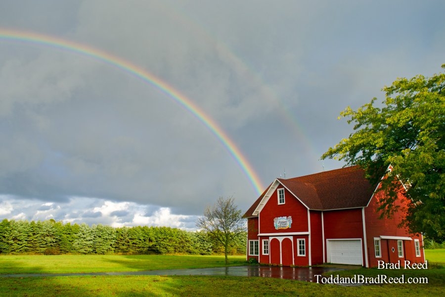 Trillium Creek Rainbows