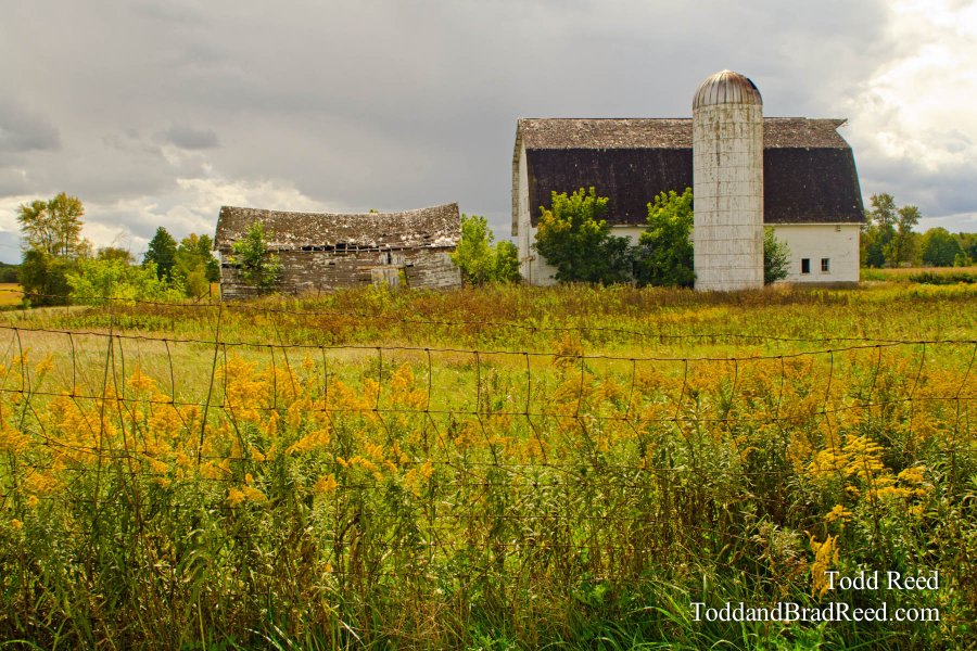 Country Tapestry
