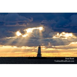 Follow the Light